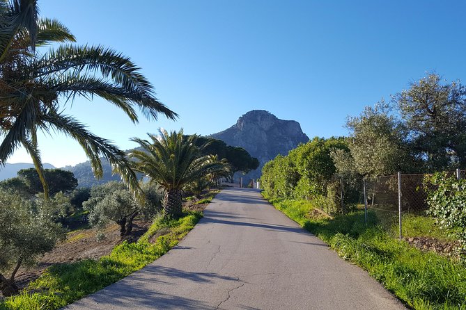 Wine & Tapas tour by electric bike (e-bike) including Ronda pickup (full day) - Ronda pickup and the return journey