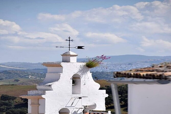 Wine & Tapas tour by electric bike (e-bike) including Ronda pickup (half day) - El Jaral, El Gastor, and Montecorto at a slower pace