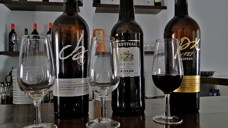 Wine Tasting and local tapas delight in Cordoba - Key points to know before booking
