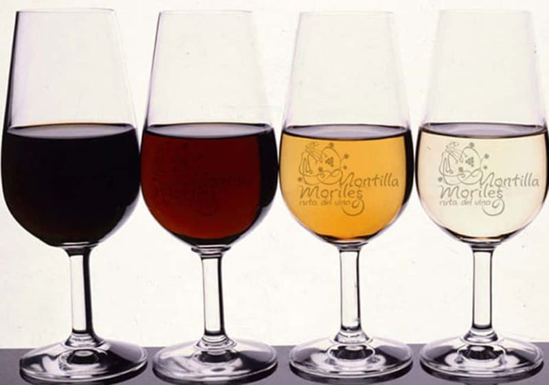 Wine Tasting and local tapas delight in Cordoba - The 90-minute tasting, step by step