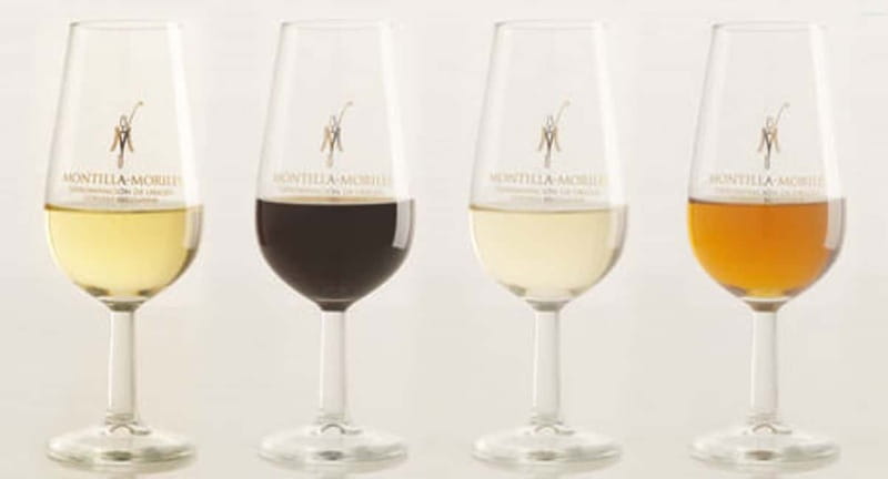 Wine Tasting and local tapas delight in Cordoba - Starting near the Roman bridge