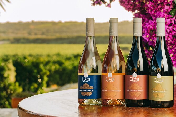 Wine Tasting & Tapas 4x4 Tours - A 4x4 morning beyond Lagos