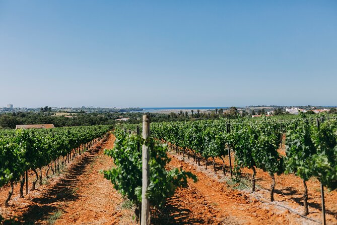 Wine Tasting & Tapas 4x4 Tours - Barragem da Bravura by off-road vehicle