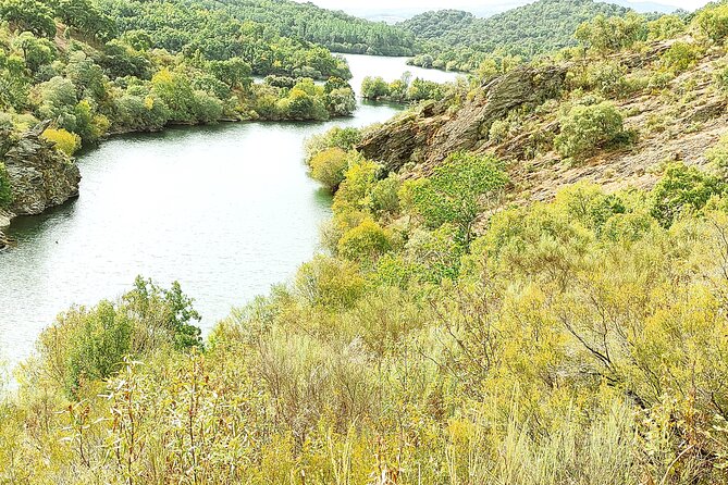 Wine Tasting & Tapas 4x4 Tours - Is $95.12 a fair price?