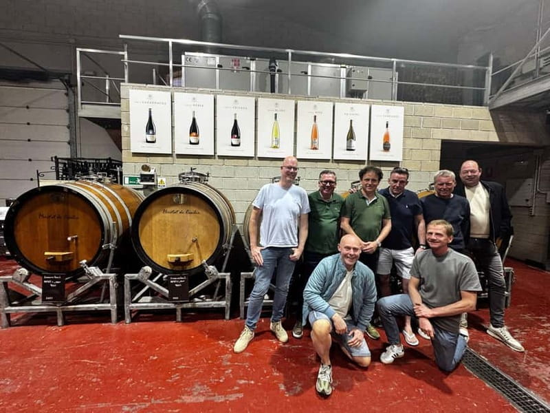 Winery Visit and Tasting in Elche with wines and tapas from Alicante in Van - Key points to know before booking