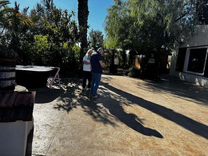 Winery Visit and Tasting in Elche with wines and tapas from Alicante in Van - Why Fondillón makes this Elche outing special