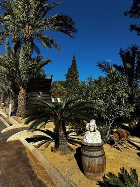 Winery Visit and Tasting in Elche with wines and tapas from Alicante in Van - What the $68 price covers